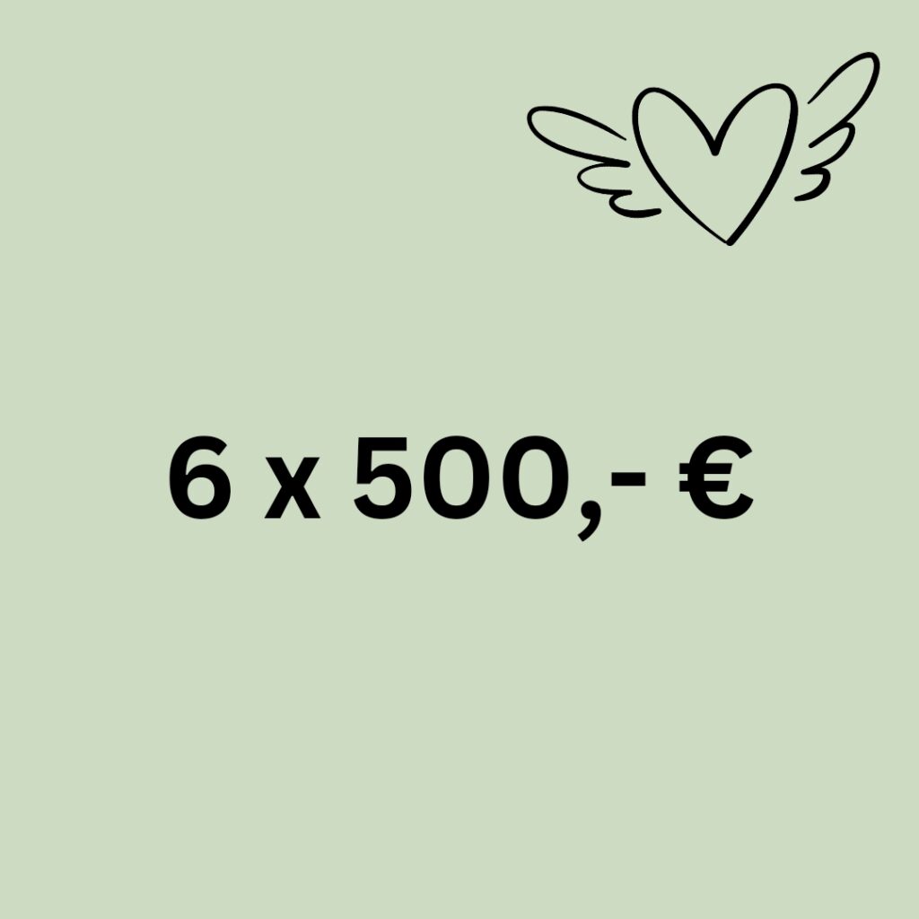 Preisstufe: 6 x 500,- Euro