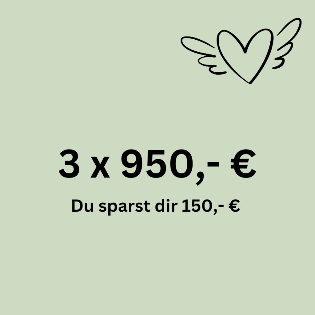 Preisstufe: 3 x 950,- Euro. Du sparst dir 150,- Euro