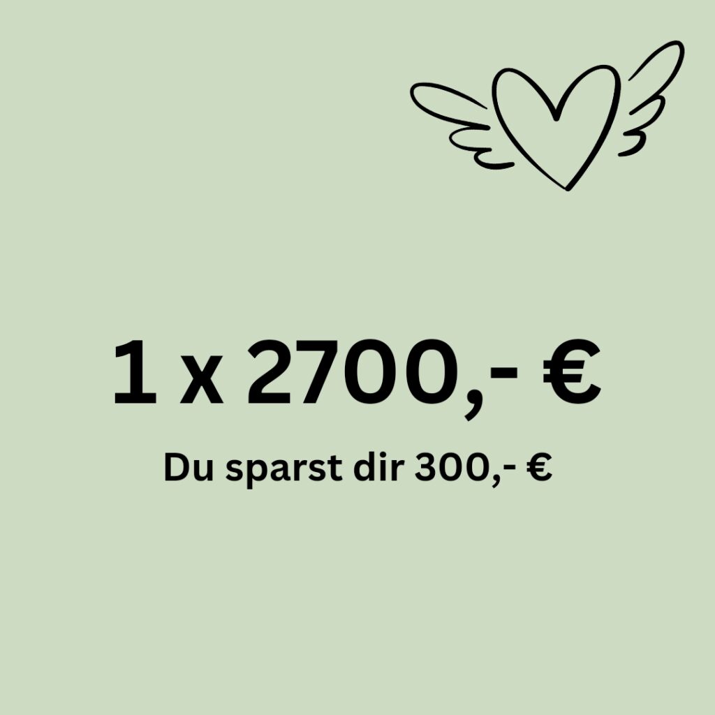 Preisstufe: 1 x 2700,- Euro. Du sparst dir 300,- Euro